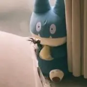 ぬーん。の画像