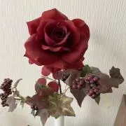 しゆうびの画像