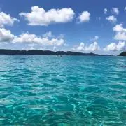 mthの画像