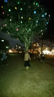 Mの画像