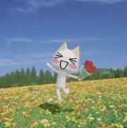 ちゃ