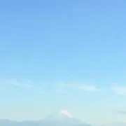 うどん