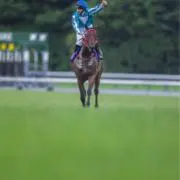 じーなかの画像