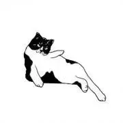 nyankoの画像