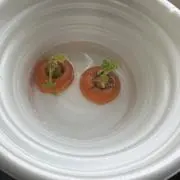 にんじんにほんの画像