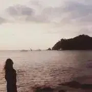 Y