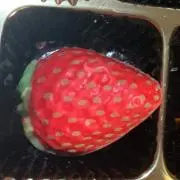 みか即購入ok水曜日発送の画像