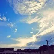 あん＊セール中/即日発送の画像