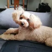 たかchan☆プロフィール必読☆