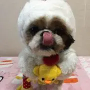 ムムラム