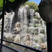あんぴら