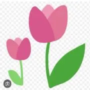 Yellの画像