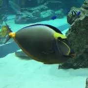 おーちゃん☻