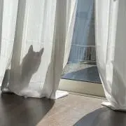 うみの画像