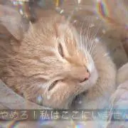 イッヌの画像