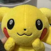 いるかの画像