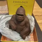 a....の画像