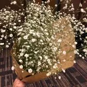 はくまる