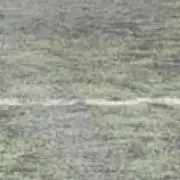 tk