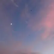 すぎの