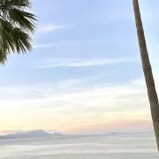 さきの画像
