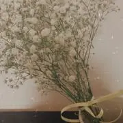 まま.の画像