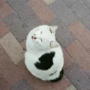 masamasaの画像