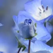 花子です。
