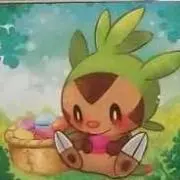 ザクロの画像
