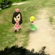 marimoの画像