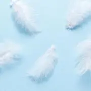 おの画像