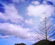 光の画像