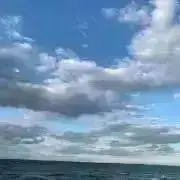 ミユキの画像
