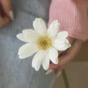 cocoの画像