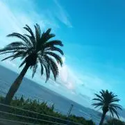 鬼嫁ちゃん