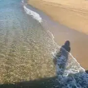 みぃの画像