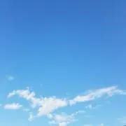 のこのこの画像