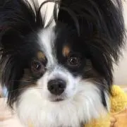 sora2015の画像