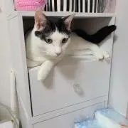 ●こばち●プロフ必読