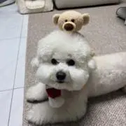 余白の画像