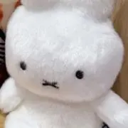 たけの画像