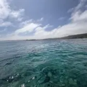 Saの画像