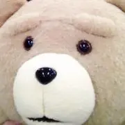 くーまʕ•ᴥ•ʔの画像