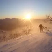 がく丸の画像