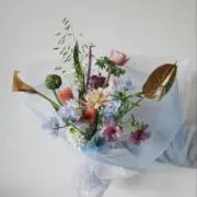 美品多数の画像