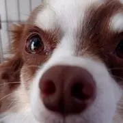 ゆーーー