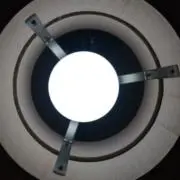 メロの画像
