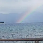 katsuの画像