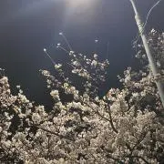 shin061851の画像