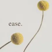 Ease.の画像